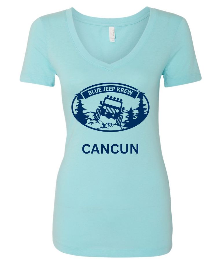 Ladies Next Level V-neck Shirt