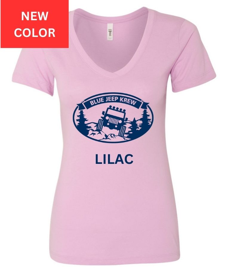 Ladies Next Level V-neck Shirt